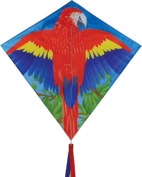 In the Breeze 30-inch Graphic Diamond Kites for Outdoor Fun