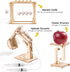 STEM Science Kits for Kids Ages 8-12, Wood Crafts Building Kits for Boys 6-8, Science Experiment Projects, Wooden