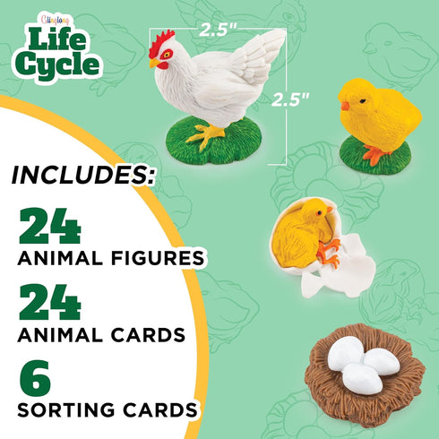24-Piece 3-8 Life Cycle Animal Kit - Montessori Science Toy with Matching Game, Butterfly, Frog, Chicken, Bee, Ladybug