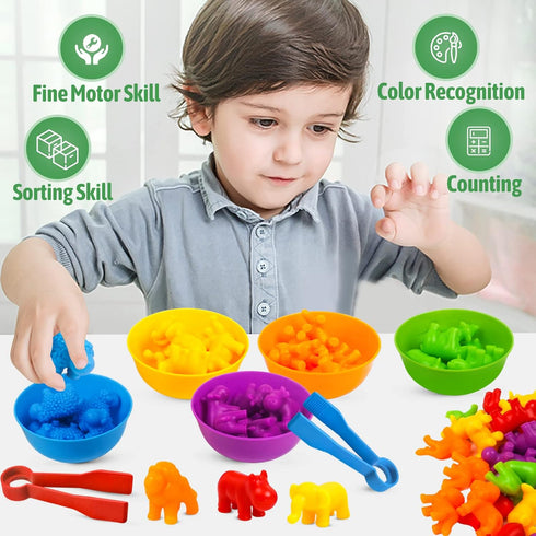 Counting Sorting Toys - RAEQKS Matching Stacking Toys with Bowls for Preschool Learning Activities Educational Sensory