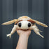 ZHONGXIN MADE 11in, Silk Moth Plush Toy - Lifelike Silk Moth Stuffed Animals Realistic Soft Big Wings Moth Toys