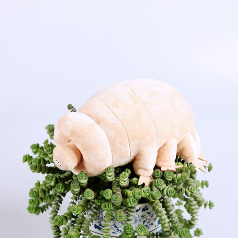 Tardigrade Plush Waterbear Stuffed Animal, 9" - Sea Creature Plush Toy