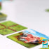 Loki Farmini Card Game
