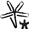 LiXiongBao Universal 5 Point Harness Strap Belt,Baby Harness Seat Strap Holder for Most