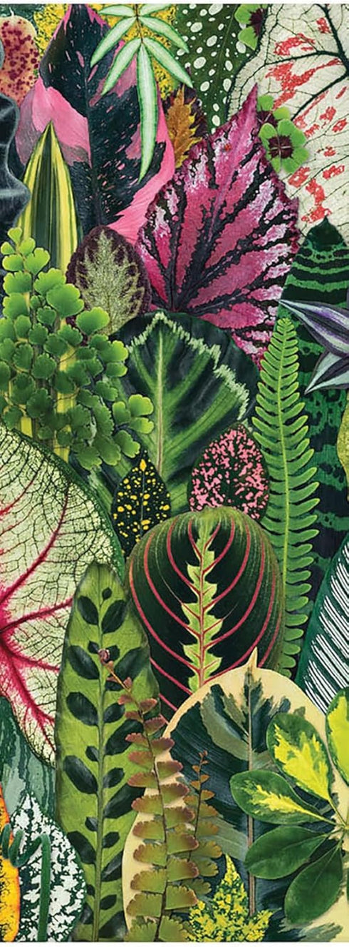 Houseplant Jungle 1000 Piece Jigsaw Puzzle for Adults by Galison - Fun Indoor Activity