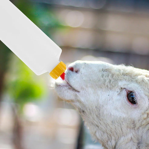 DOITOOL Goat and Bottles Set, 5PCS Small Animal Milk Drink and 400 ml Feeding Bottle Kit