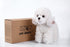 12" CU-MATE Plush Poodle Dog Toys, Simulation-Realistic & Lifelike Soft Stuffed Animal Dog, Handmade Stuffed Dog Toys