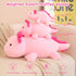 SQEQE Weighted Axolotl Plush Toy, Pink Stuffed Animals Cute Weighted Pillow for Girls & Boys Age 3-12 (9.8")