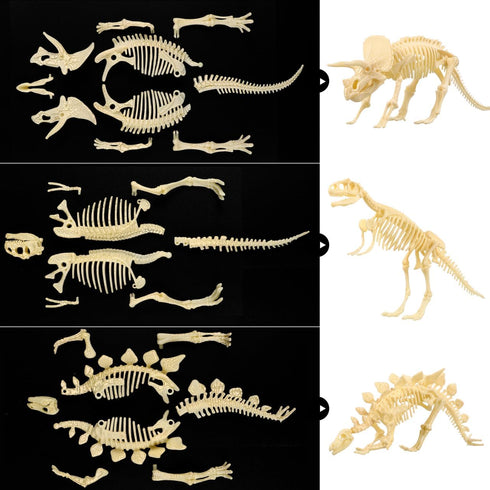 NUOLUX 3Pcs 4D Dinosaur Fossil Skeleton Toys