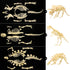 NUOLUX 3Pcs 4D Dinosaur Fossil Skeleton Toys