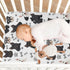 Pigsaly 27x39 Inch Crib Sheets Black White Puppy Schnauzer Dogs Baby Sheet for Standard Crib Mattress Boys Girls