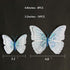 Somotersea 24Pcs 3D Butterfly Wall Decor, Removable Butterfly Decoration for Girls Room, Birthday Party Stickers, Blue