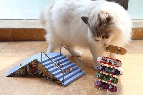 Finger Skateboard Display Rack, Pro Finger Board Racks Floor Stand, Five-Layer Skateboard Holder for Mini Skateboards