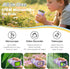 Alotwan 1000X 3-8 8GB Kids Digital Microscope Zoom, Mini Pocket Handheld Microscope with Camera/Video/Telescope