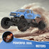 DOUBLE E Ford Raptor F150 RC Car 4WD Monster Truck, 11 Inches Off Road Crawler Vehicle Toy Gift for Boys Girls 6-12