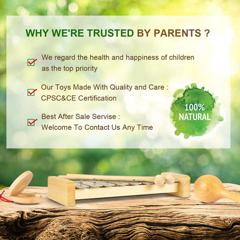 Set LOOIKOOS Toddler Musical Instruments, Eco Friendly Music for Kids Preschool Educational, Natural Wooden Percussion