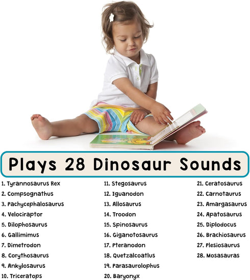 3-5, 28 LEARNING BUGS Dinosaur Sound Book for Kids Realistic Sounds. Explore Land, Sky, & Sea Dinosaurs, Perfect
