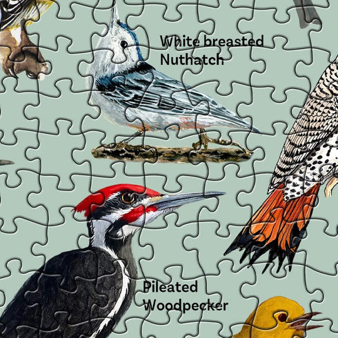 PICKFORU 1000 47 Bird Puzzle for Adults Pieces and Up, Backyard Birding Puzzle Collects Backyard Birds of North