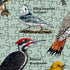 PICKFORU 1000 47 Bird Puzzle for Adults Pieces and Up, Backyard Birding Puzzle Collects Backyard Birds of North