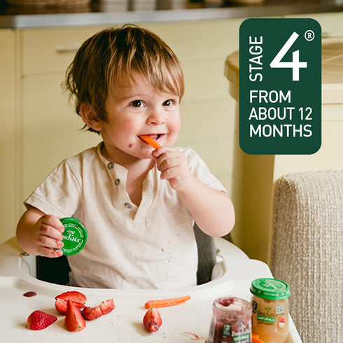 6 (30 Beech-Nut Toddler Snacks Oaty Bars Granola Bars for Babies & Toddlers, Fruit & Whole Grain Strawberry Snack Bar