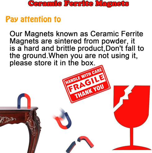 EUDAX Physics Science Magnets Kit for Education, Includes Bar/Ring/Horseshoe/Compass Magnets