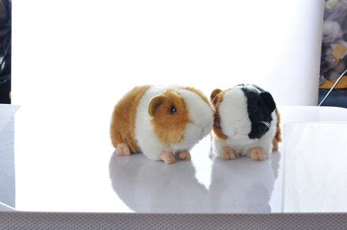 8 Inch Black and Orange Guinea Pig Plush Toy Stuffed Animal Doll
