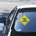 VASTRISE 2 5"x5" Pcs Baby On Board Sign for Car with Suction Cups,About Essential Safety Signs for Cars - Bright