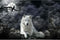 "Jigsaw Puzzle 1000 Piece Crow and White Wolf - Adult Puzzle Kids Puzzle Wooden Toy DIY Kit Home Decor"