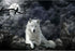 "Jigsaw Puzzle 1000 Piece Crow and White Wolf - Adult Puzzle Kids Puzzle Wooden Toy DIY Kit Home Decor"