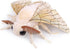 ZHONGXIN MADE Giant Silk Moth Plush - 26" Lifelike Stuffed Animal with Realistic Soft Big Wings