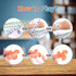57PCS 8-12 4-8 3-5 Treasure Chest for Kids Small Prizes Party Favors for Kids Rewards, Treasure Box Fidget Toys