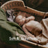 Muslin Swaddle Blankets, 5 Pack Neutral Burp Cloths for Newborn Boys and Girls, Breathable Skin-Friendly Wrap (Elegant