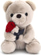 9.8'' Teddy Bear with Rose, Soft Plush Doll for Valentines Day Gifts for Her, Mom, Kids (Gray)