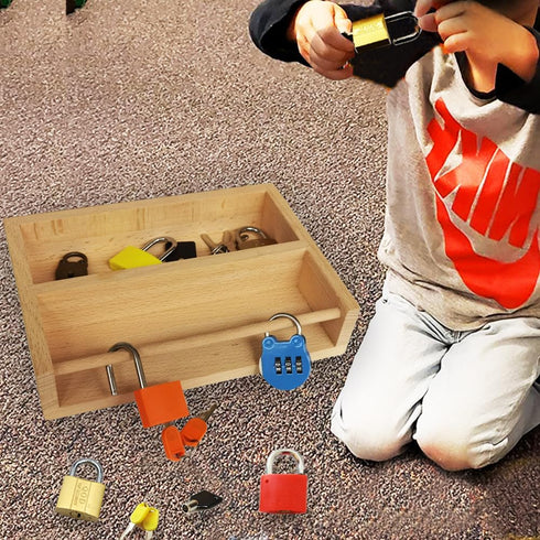 Montessori Lock and Key Toy Set for Toddlers, Educational STEM Matching Games with Wooden Tray for Kids 3-5