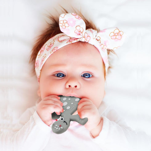 Dinosaur Baby Teething Toys with Pacifier Clip for Infant 0-12 Months, Freezer Safe & BPA Free (Pink)