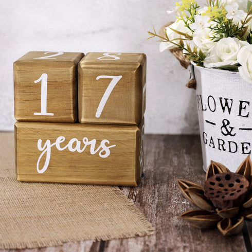 GIRVEM Set Countdown, 7 Baby Monthly Milestone Blocks for Boy or Girl, Milestones Age Photo Block for Baby Shower