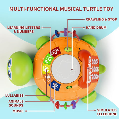 6 12 12-18 3-6 7 8 9 10 1 2 Letapapa Baby Toys to Months, Musical Turtle Baby Toys for Months, Crawling Toy with Light