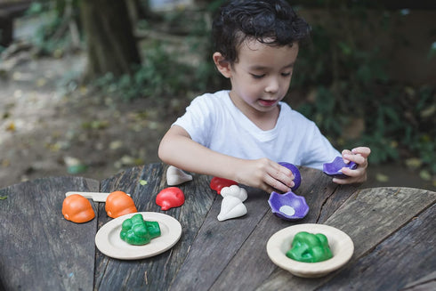 PLAN TOYS Plantoys - Eco-friendly Educational Toy, Multi-Color (3431)