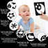 High Contrast Baby Cards for Infants, Black and White Baby Toys for Newborns, Visual Stimulation Development