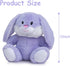 10 inch HollyHOME Easter Bunny Stuffed Animal Stuffed Bunny Plush Soft and Cuddly Stuffed Rabbit Easter Gift for Kids