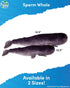 (32.5" Real Planet Sperm Whale Plush Toy - Realistic Stuffed Animal Gift for Kids All Ages, Large Ocean Plushie