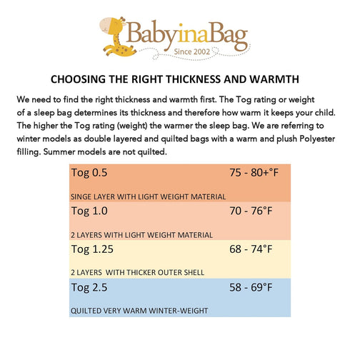 BABYINABAG Summer Model Baby Sleeping Bag and Sack, Plush Minky Dot, Small (3-11 mos)