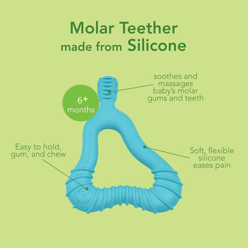 12mo+, Green Sprouts Silicone Molar Teether, Platinum-Cured Silicone, Sterilizer Safe, Tested for Hormones - Light