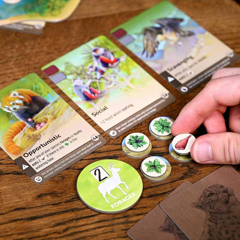 1-4 10+ Northstar Game Studio Nature Board Game | Adapt in a Changing Environment in This Strategy Game for Adults
