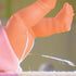 Bayer Design Piccolina 16" Newborn Baby Doll - Pink Sheep with Potty Training Functions and Feeding Accessories