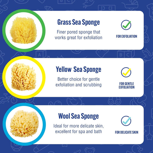Baby Buddy Natural Wool Sea Sponge, Ultra Soft Newborn Bath Time Essential, Hypoallergenic & Biodegradable, 2 Pack