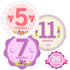 Baby Monthly Milestone Stickers for Girls, Floral Designs with Holiday Themes, First Year