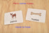 BOHS Spanish Literacy Wiz Spelling Game, Espanol Lower Case 60 Flash Cards for Preschool Learning
