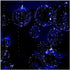 18 Packs Light Up LED Balloons - Cell Battery Included, 3 Modes Flashing, Perfect for Birthday Wedding Decorations (4