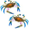 2Pcs Crab Toys for Babies, Realistic Ocean Animal Educational Model, Bath Toy for Kids